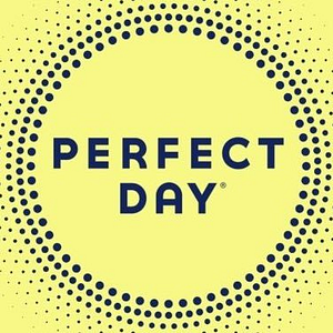 Perfect Day 